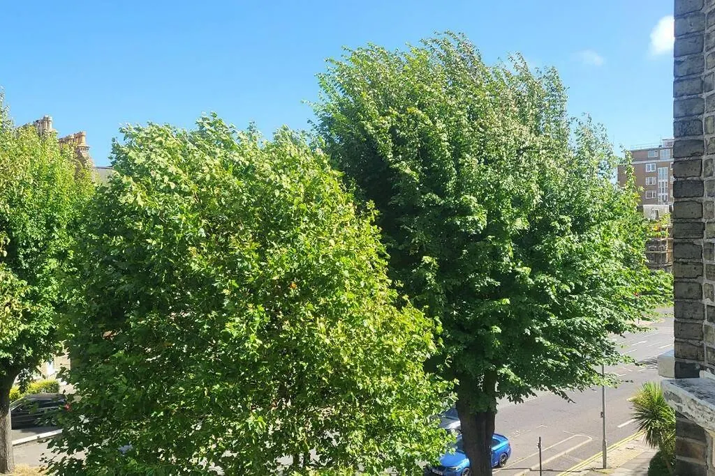 公寓 Big Comfy Studio In Central Hove With Free Onsite Parking 5 Mins From Beach - 10 Mins From 布赖顿